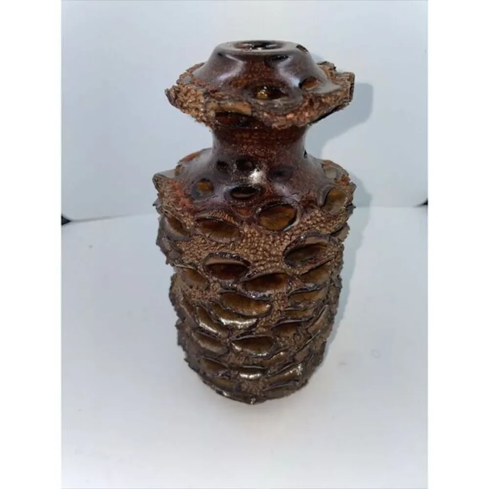 Handcrafted Banksia Nut Seed Pod Vase For Essential Oil W‎ Glass Tube 7